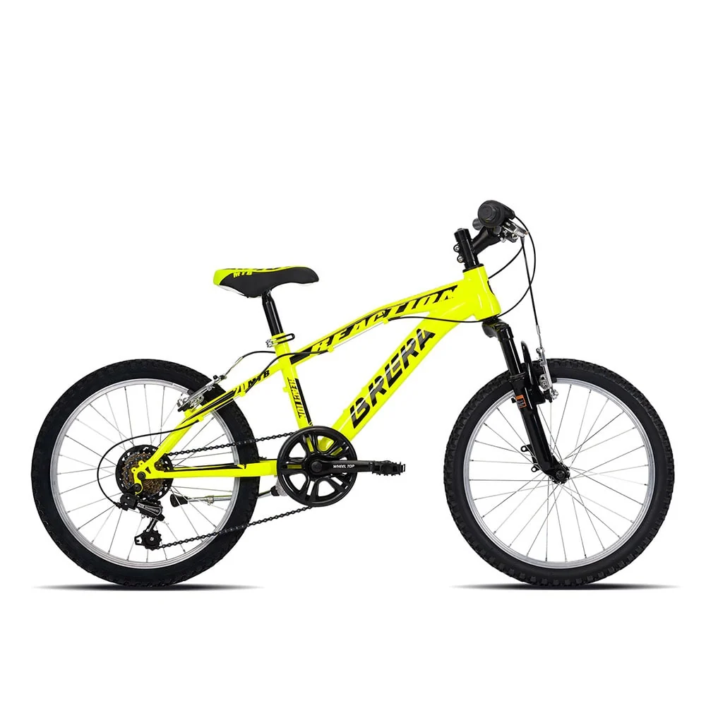 Brera REACTION 20" 6V