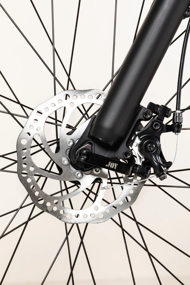COPPI Goblin E-bike 24"