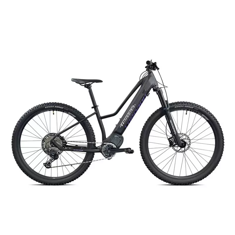 Torpado Ares 29'' 9v Oli