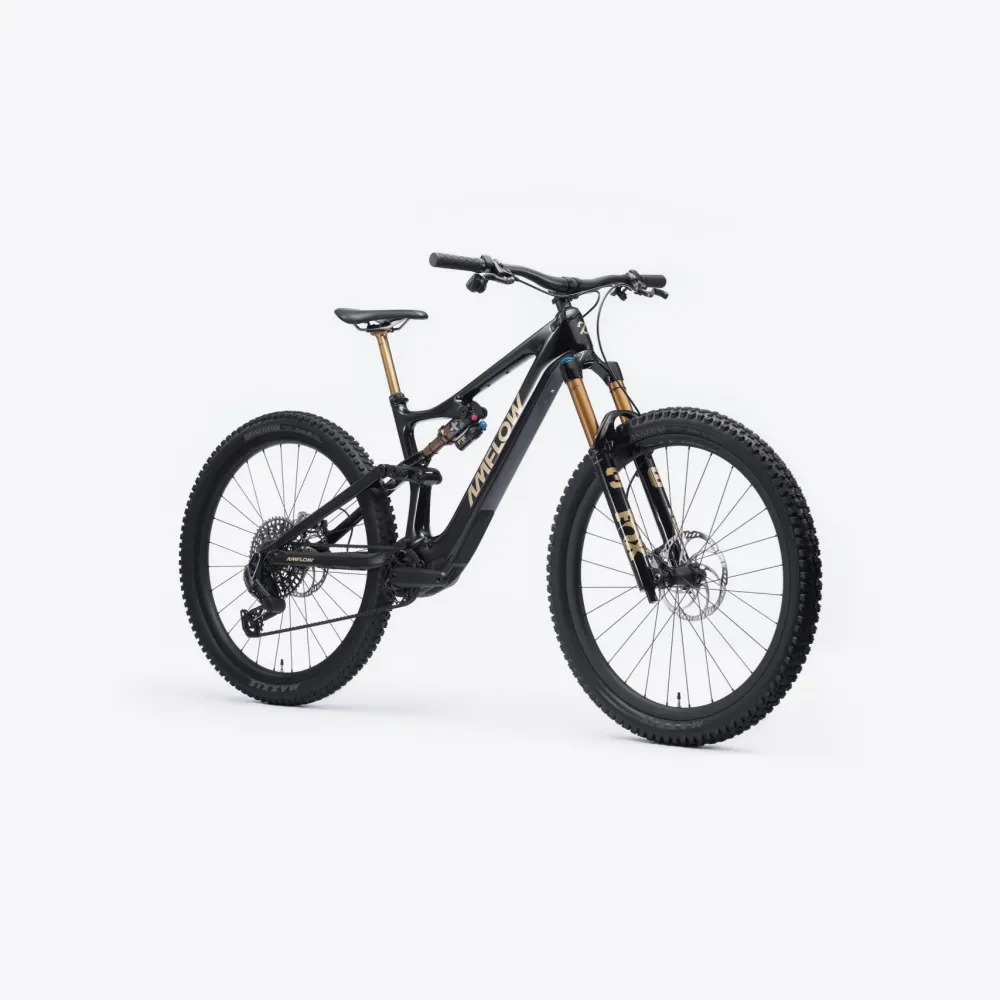 Amflow PL Carbon Pro (800Wh)